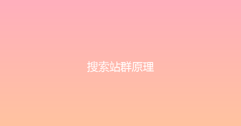 搜索站群原理 封面图